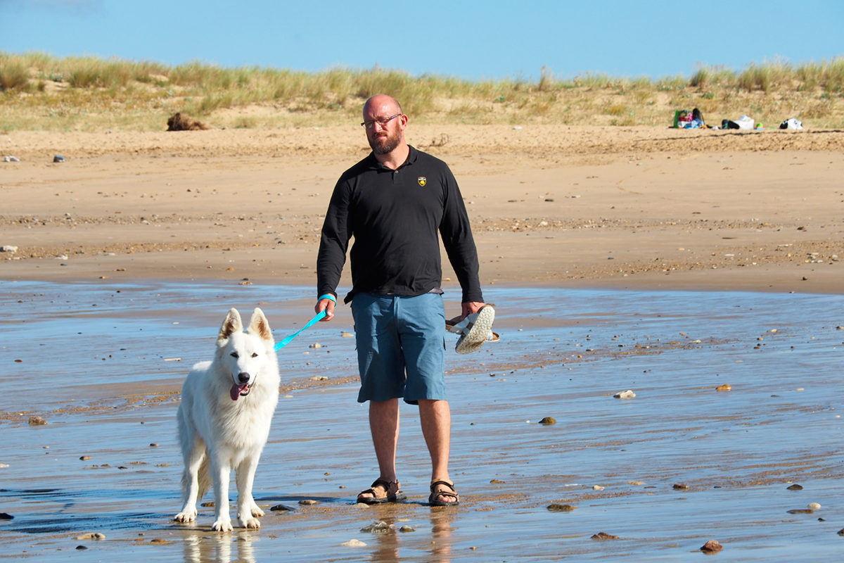 Les chiens profitent aussi de la plage