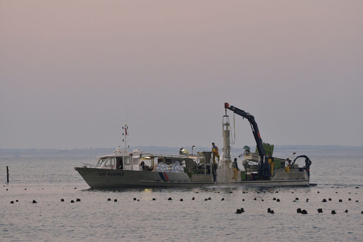 Bateau ou atelier mytilicole