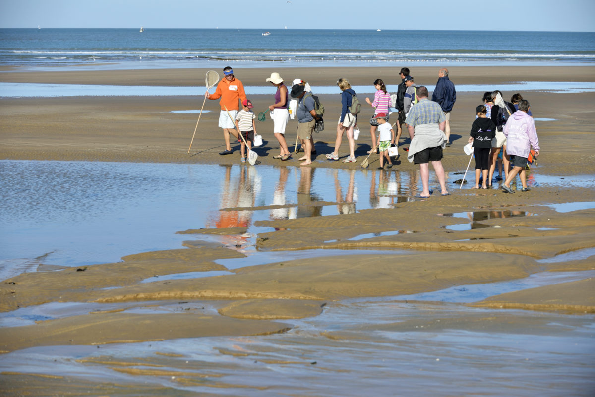 Une des pêches préférées de tous : la p^che à pied