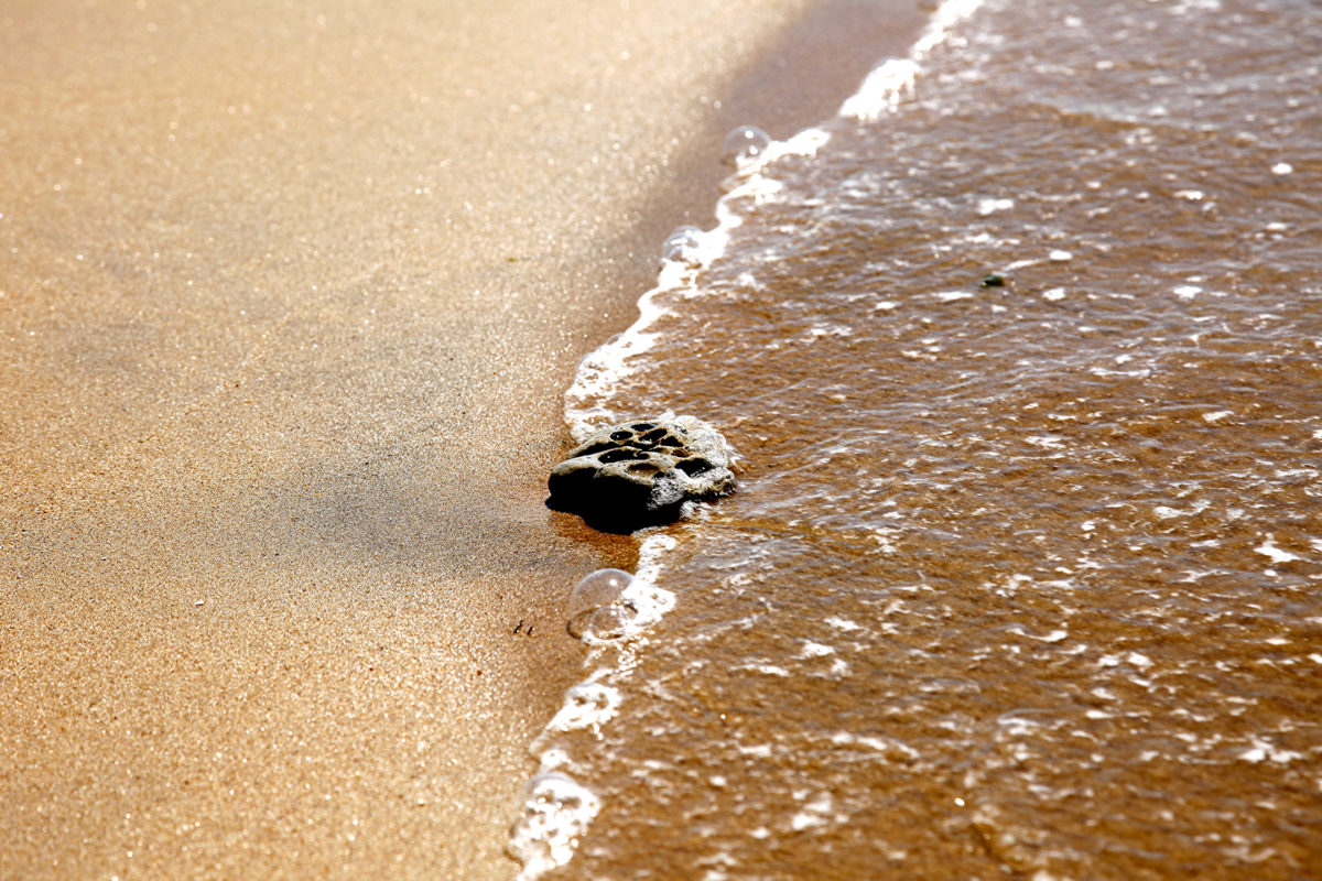 Galet sur la plage poli par le ressac des vagues