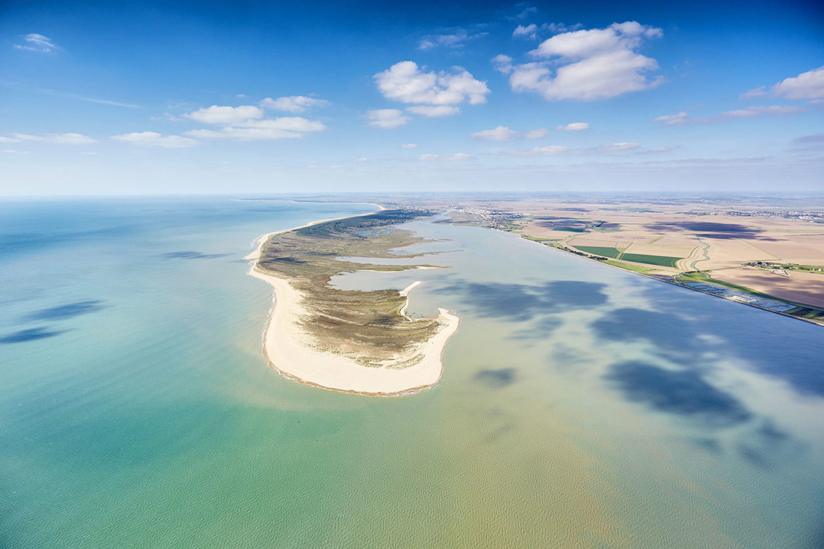 Plages de la Presqu'île de la Faute-sur-Mer, réserve de la Pointe d'Arcay, estuaire du Lay et l'Aiguillon-sur-Mer