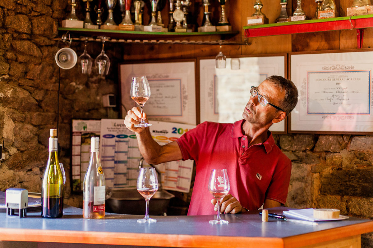 dégustation vignoble vin mareuillais fiefs vendéens la cabaudière