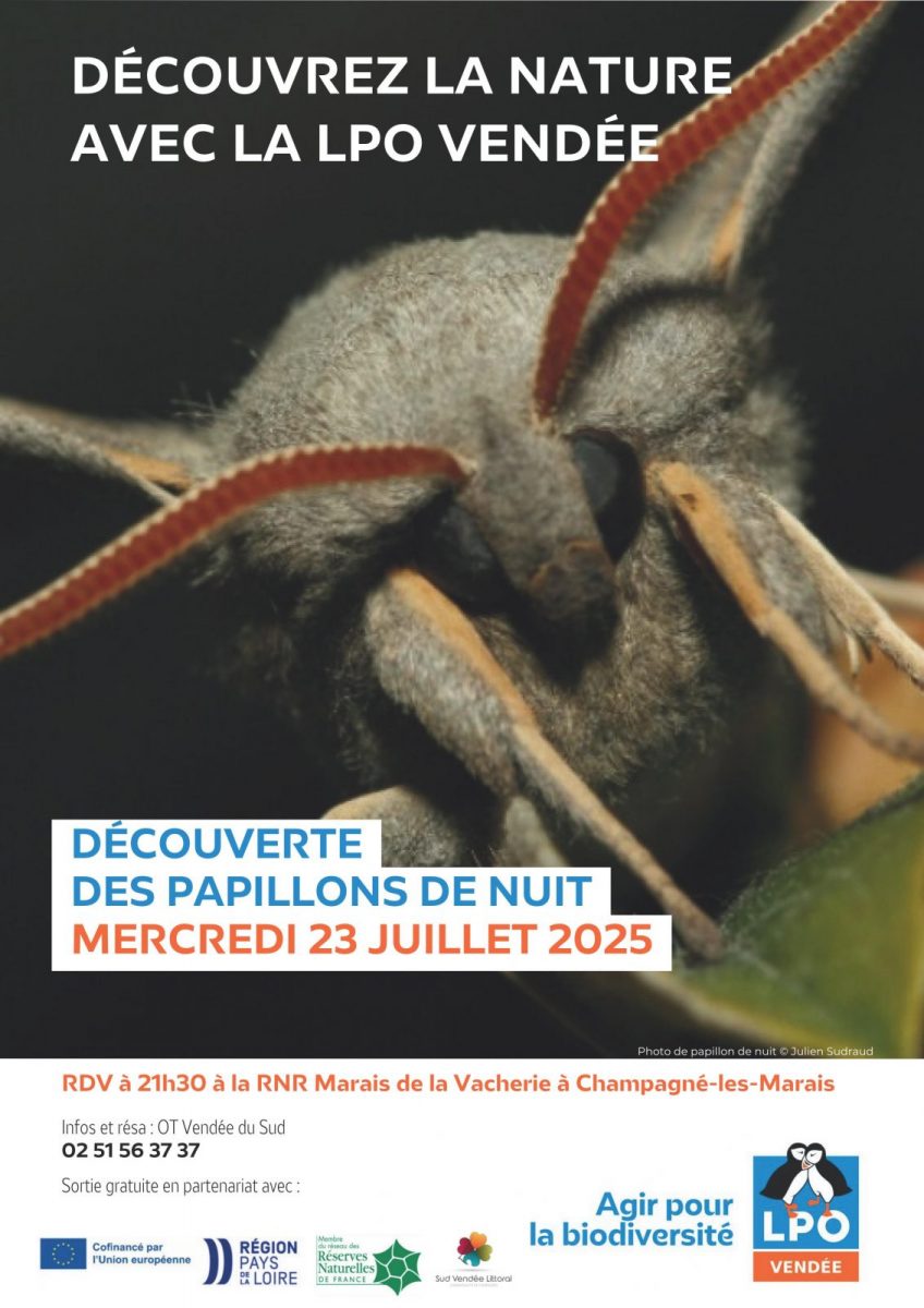 2025_affiches_event_LPO85_Terres_d_oiseaux_28