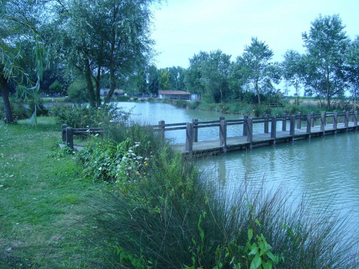 2c8ce91f-8ac3-4844-ac3d-458a422884e2