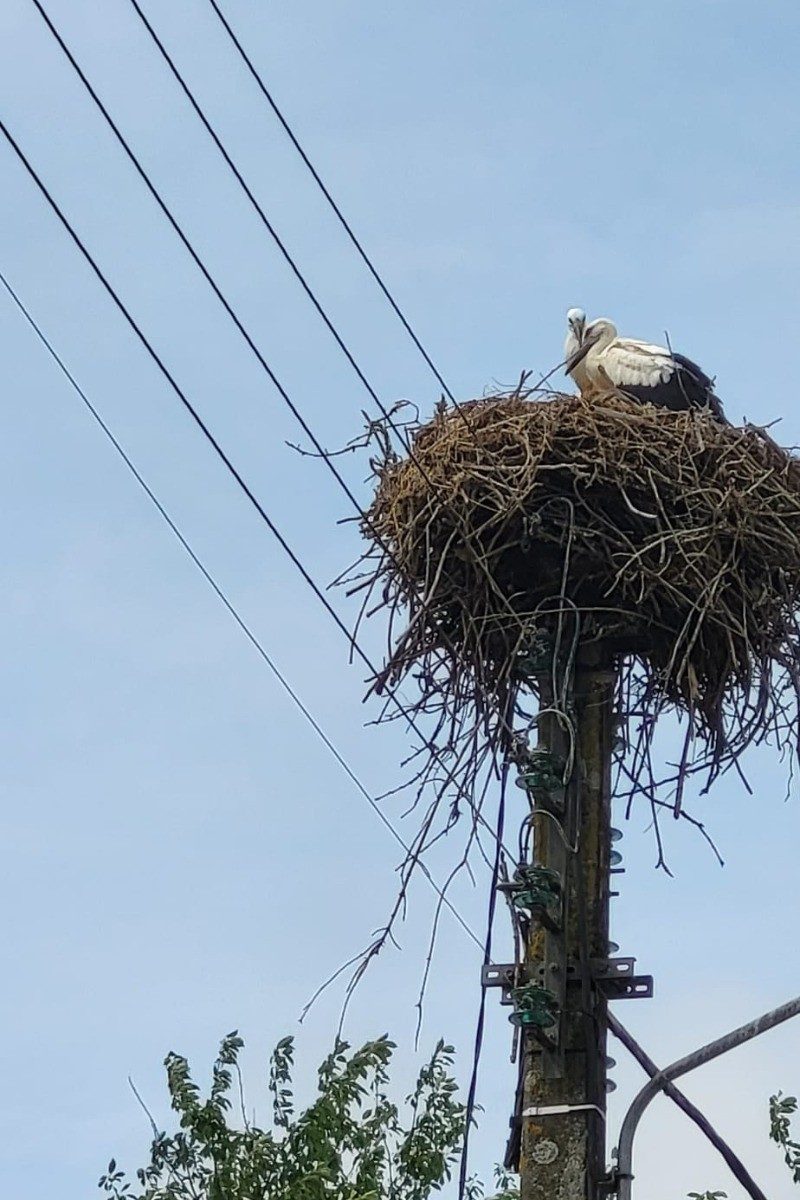 7248773c-9d83-4dc8-b9b2-3900c1a4c9ab