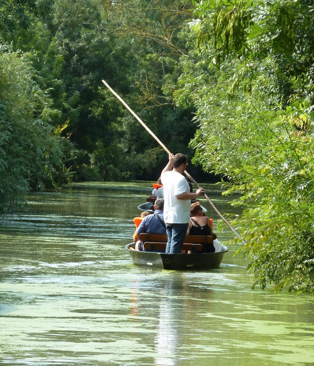A-la-pigouille-dans-le-Marais-Poitevin