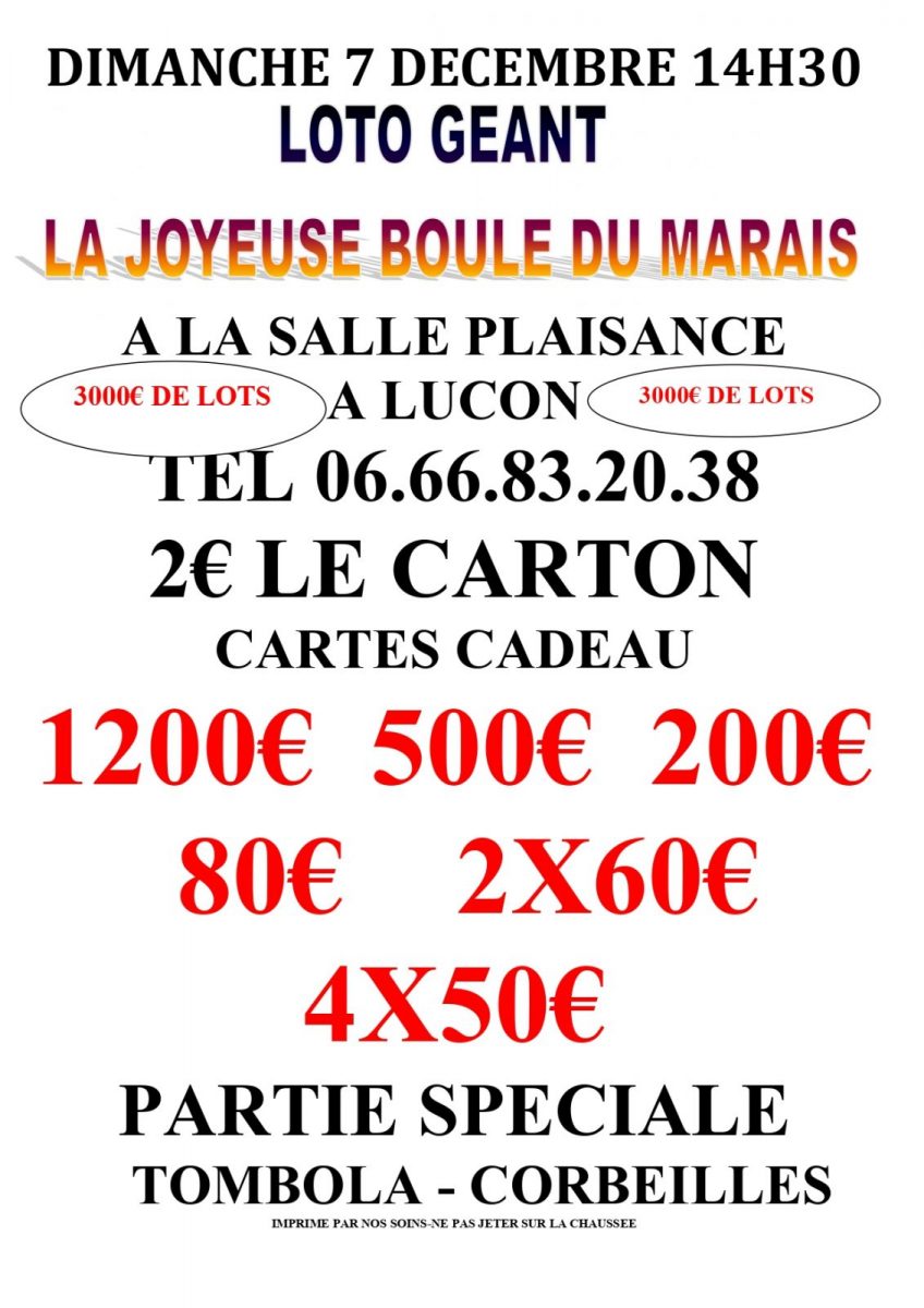 AFFICHE LOTO LA JOYEUSE BOULE__pages-to-jpg-0001