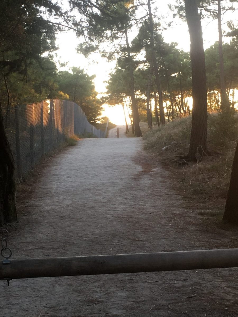 Accès plage des Amourettes