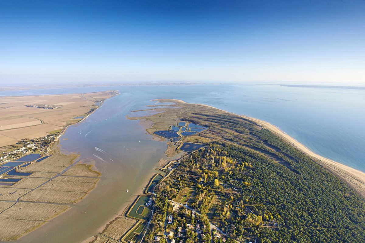 Aérienne – Baie de L’Aiguillon sur Mer 3