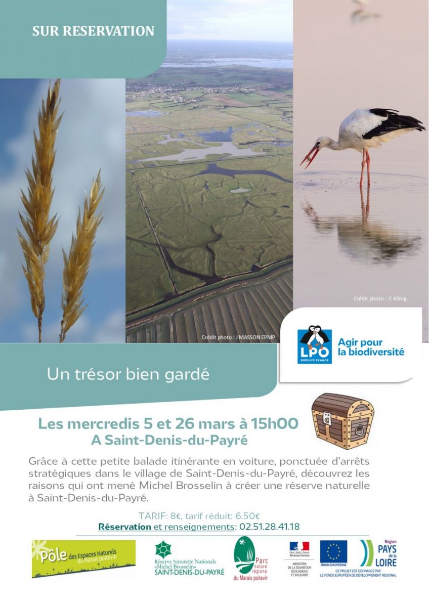 Affiche Un trésor bien gardé mars 2025