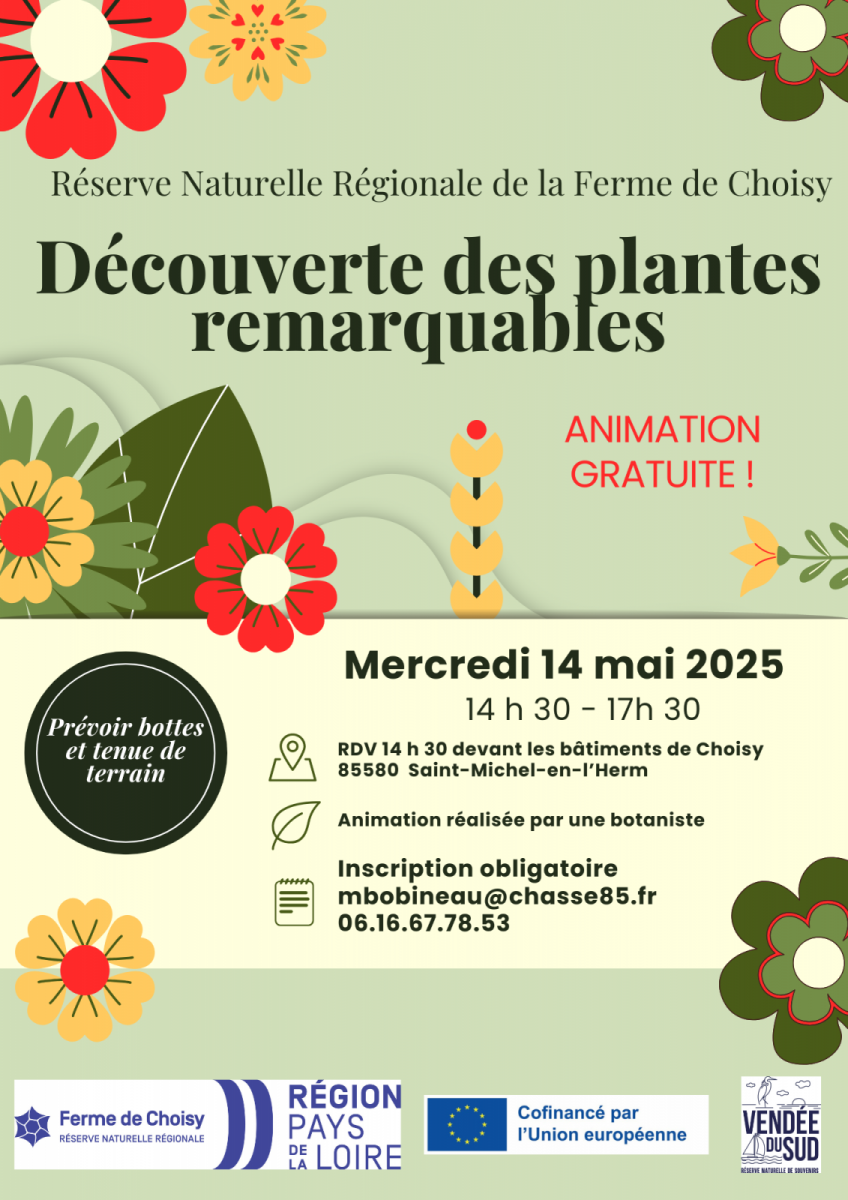 Affiche Poster Évènement Fête du Printemps Simple Moderne Floral Illustré Vert Coloré – 1