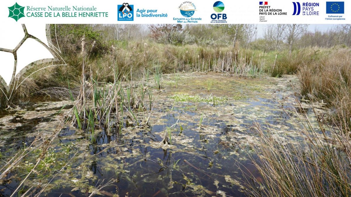 Ajouter un titre – 1