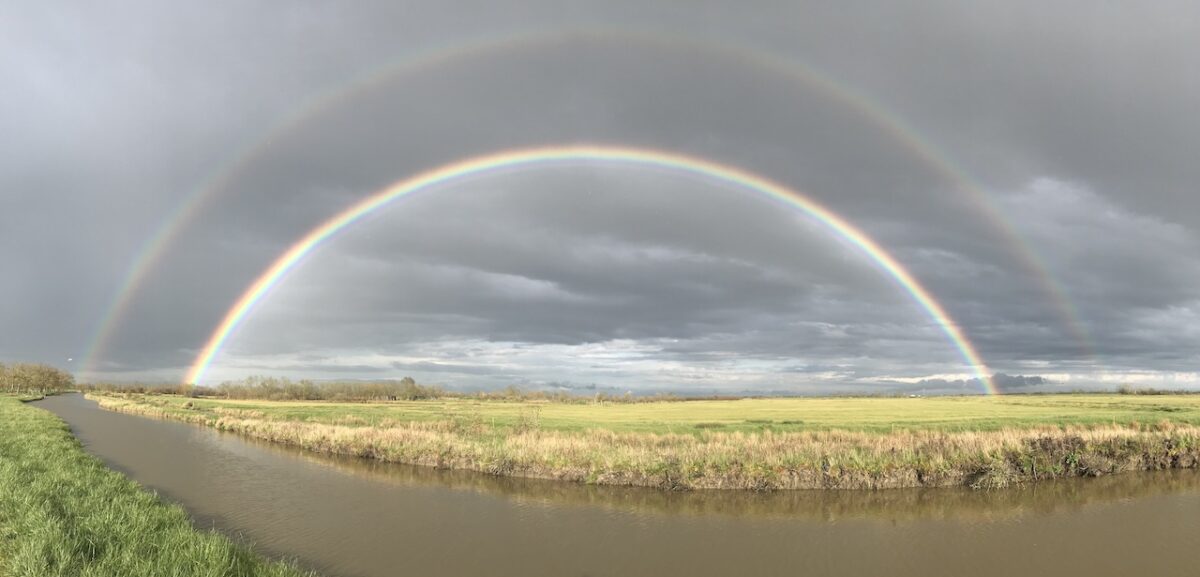 Arc en ciel marais