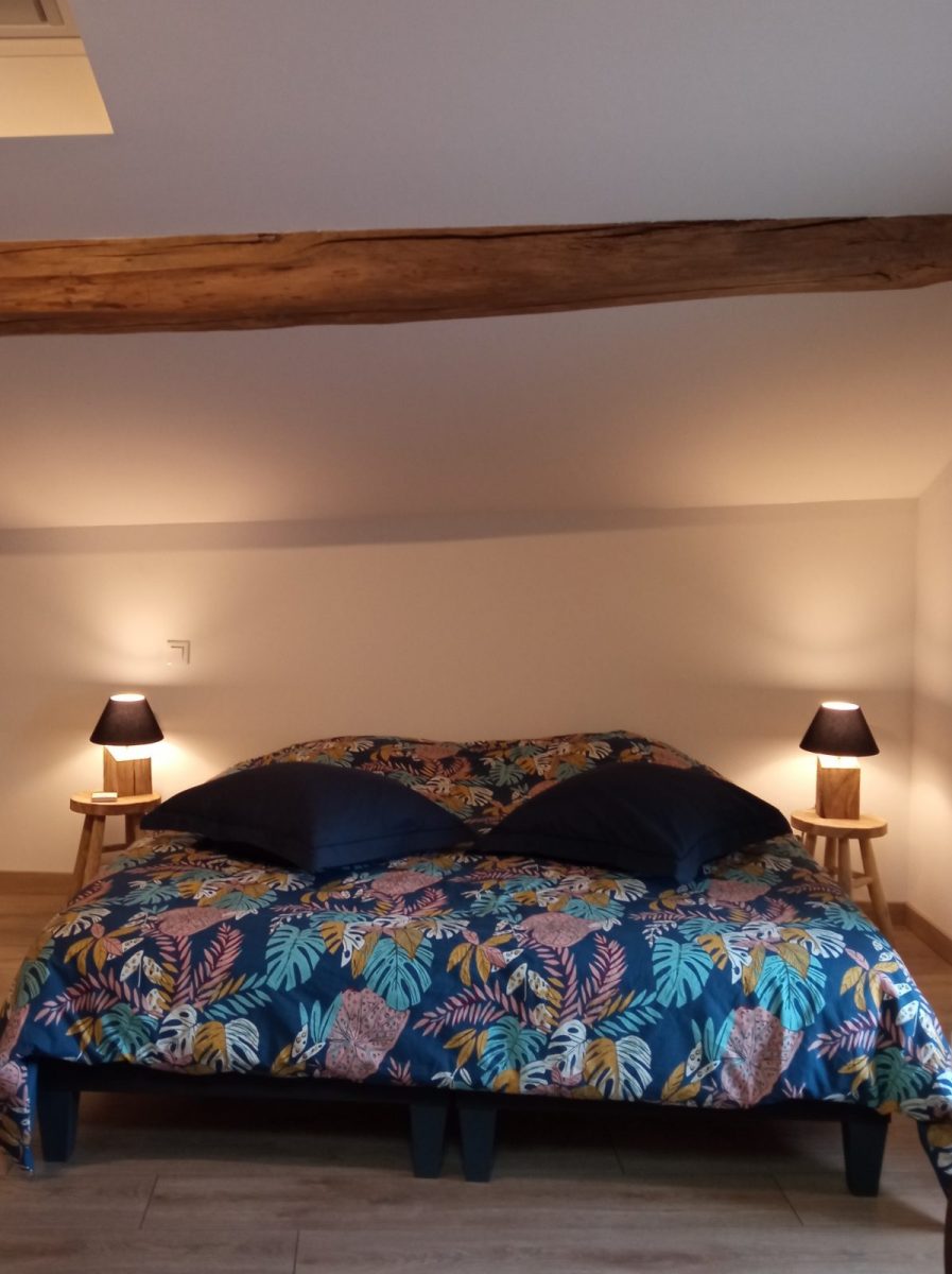 Chambre d’Hôtes Le Tamaris-SAINTE HERMINE-85-HERV15