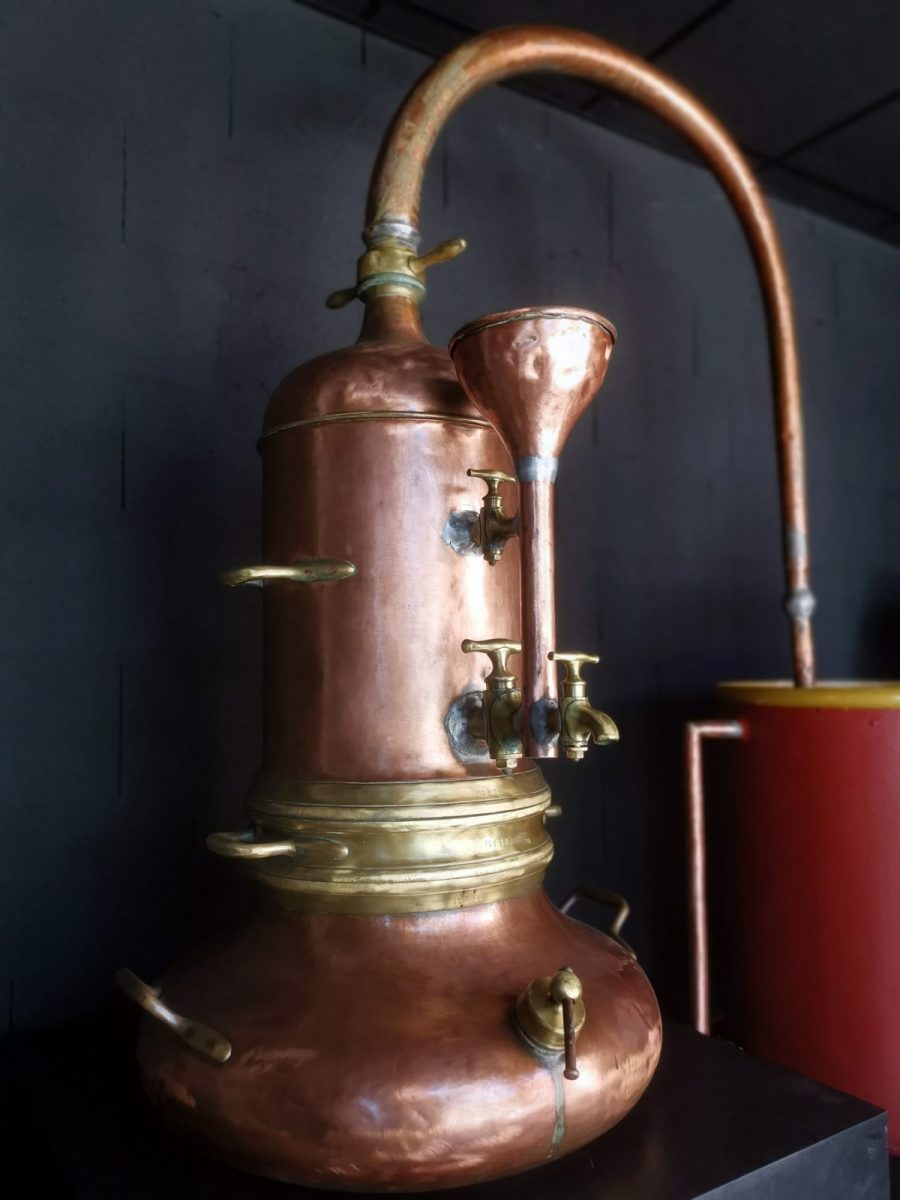 Distillerie-vrignaud-corpe-Frosse-KG (8)