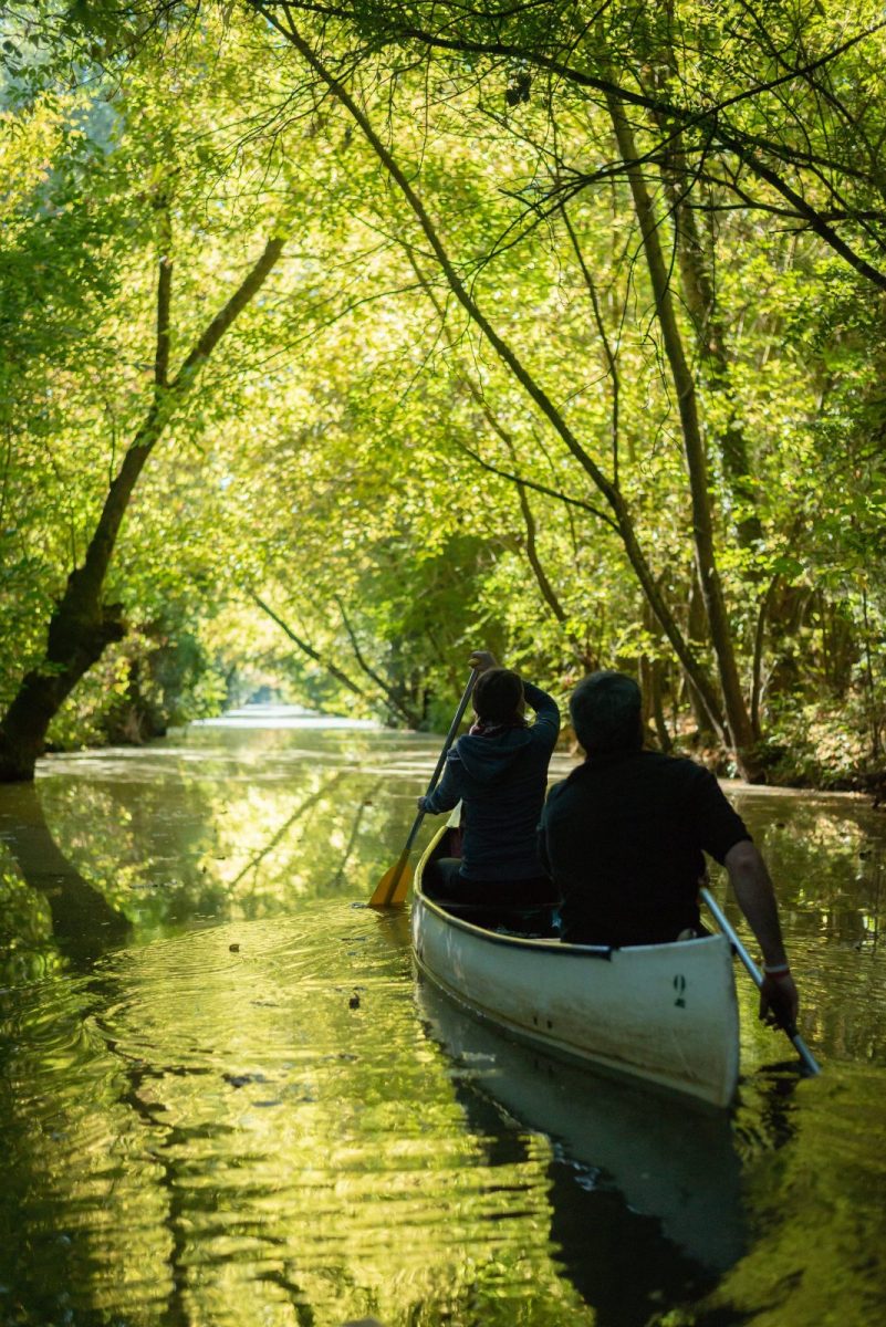 Marais poitevin 2018