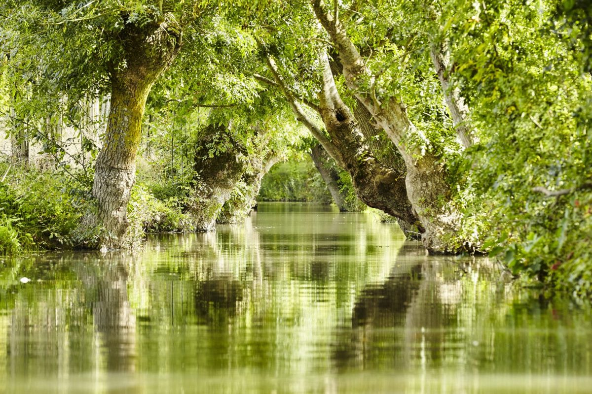 Marais poitevin – Marais mouillés 5
