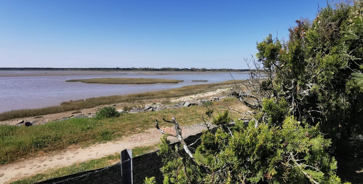 IMG-20250411-120238-325ba9b950cc4e21ad58916c01c5fef6