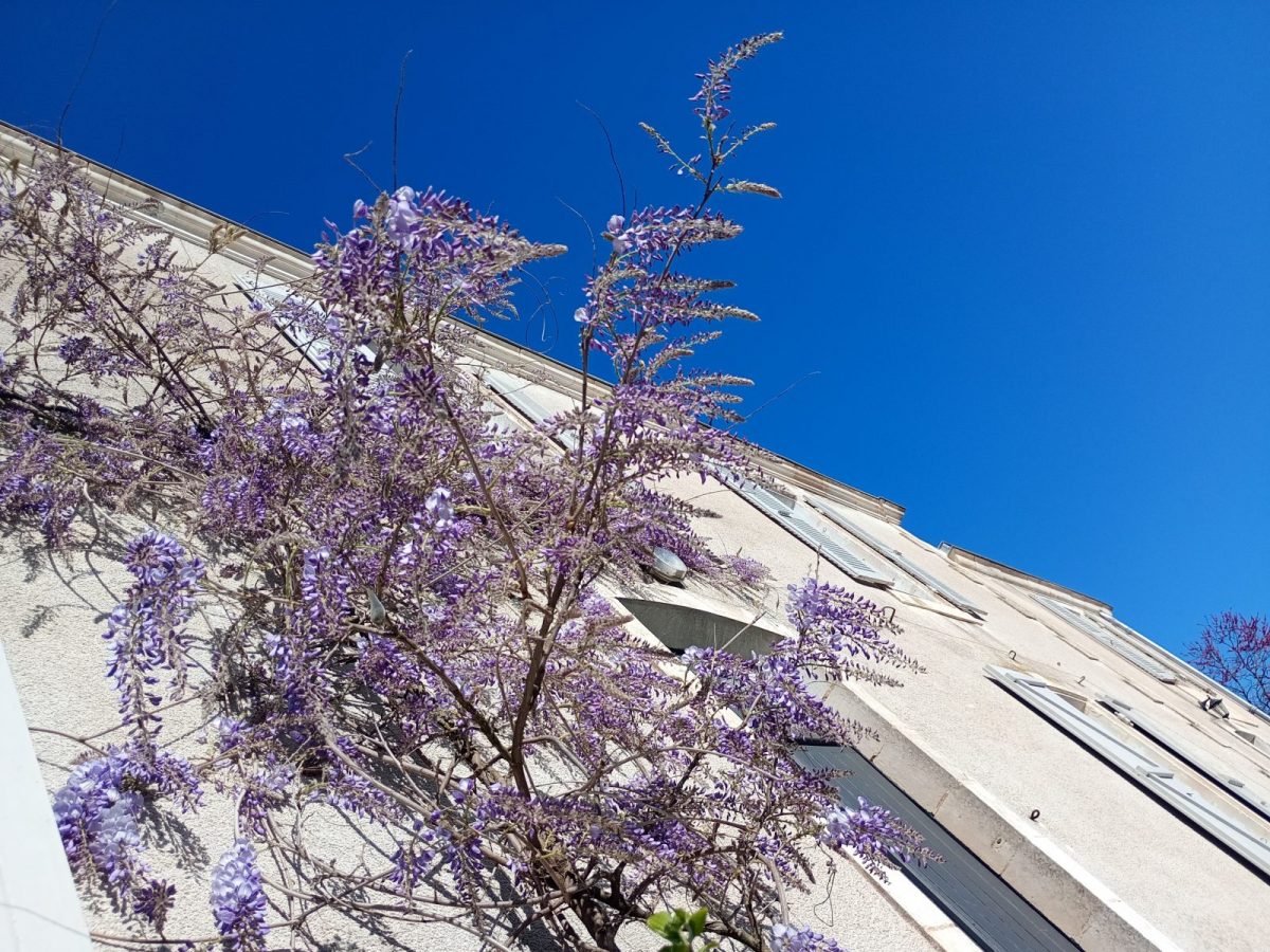 IMG_20260329_101330663_MFNR~2 (1)