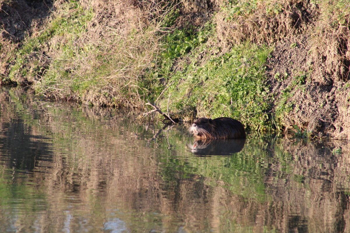 IMG_8686
