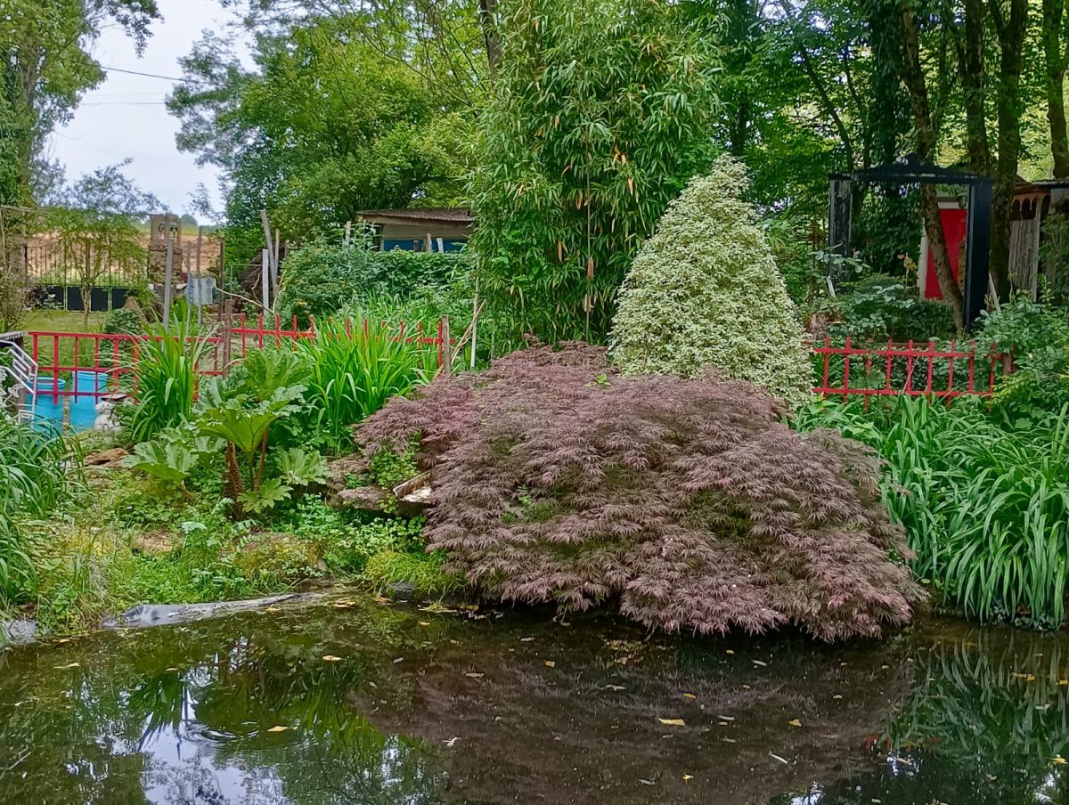 Jardin du voyage2