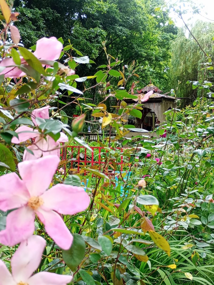Jardin du voyage3
