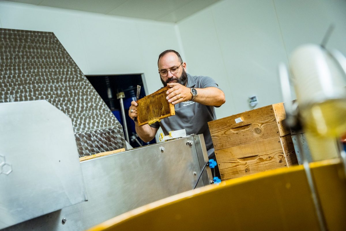 Le Rucher de Bellevue©D.Herbreteau-05623