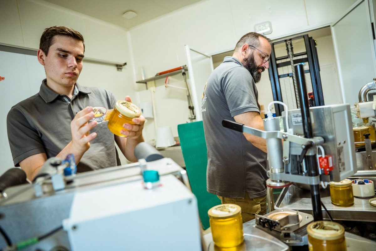 Le Rucher de Bellevue©D.Herbreteau-05748