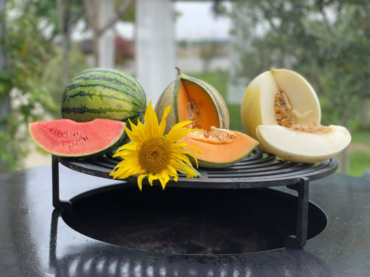 Melon vendélice