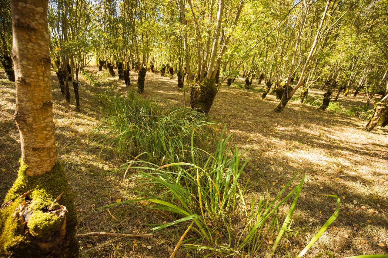 WANDELROUTE “LA DOUVE”