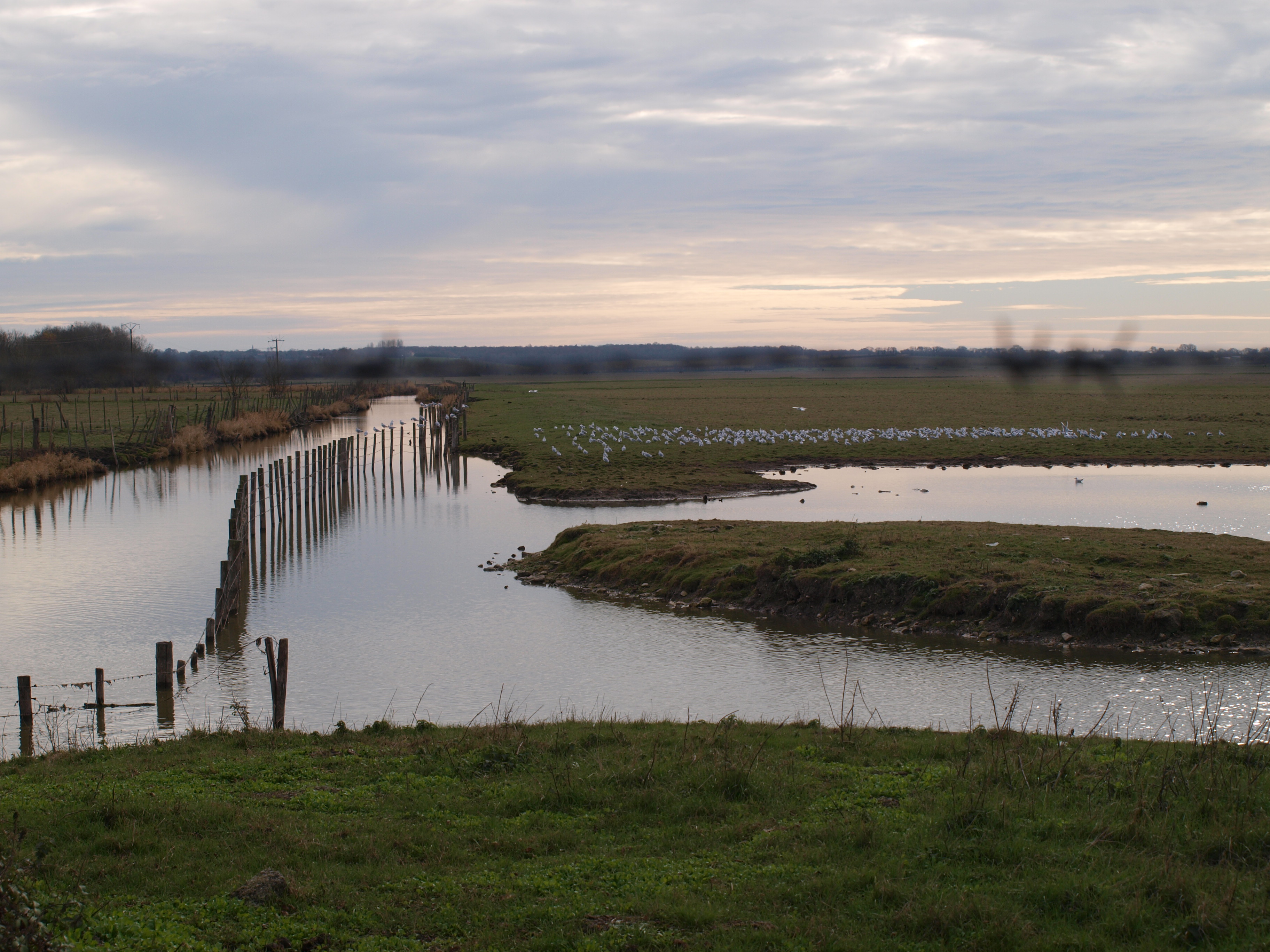 WANDELROUTE “LES ARDILLERS”