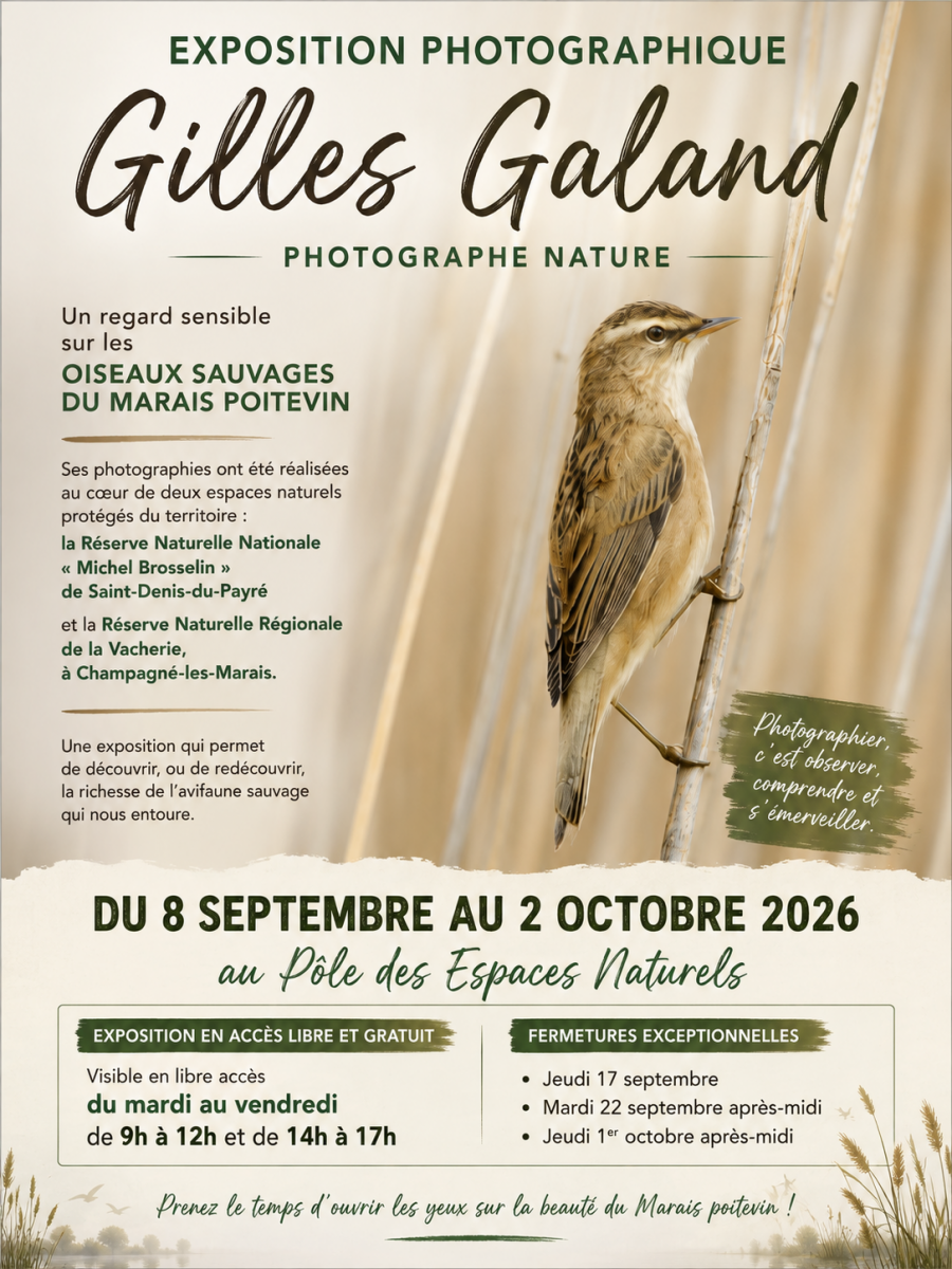 Photographie de Gilles Galand