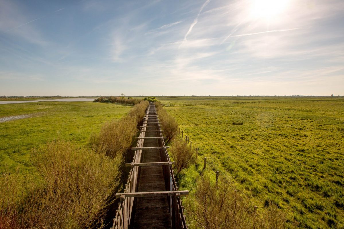 Réserve naturelle Michel Brosselin – Saint Denis du Payré 22