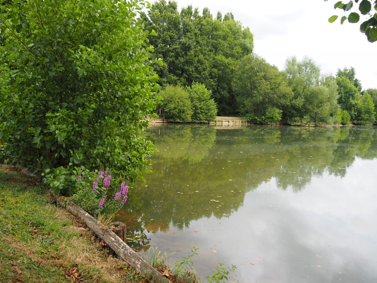 Saint-Martin-Lars-en-Sainte-Hermine (4)