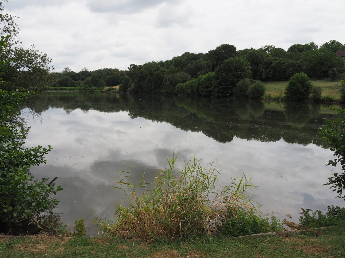 Saint-Martin-Lars-en-Sainte-Hermine (5)