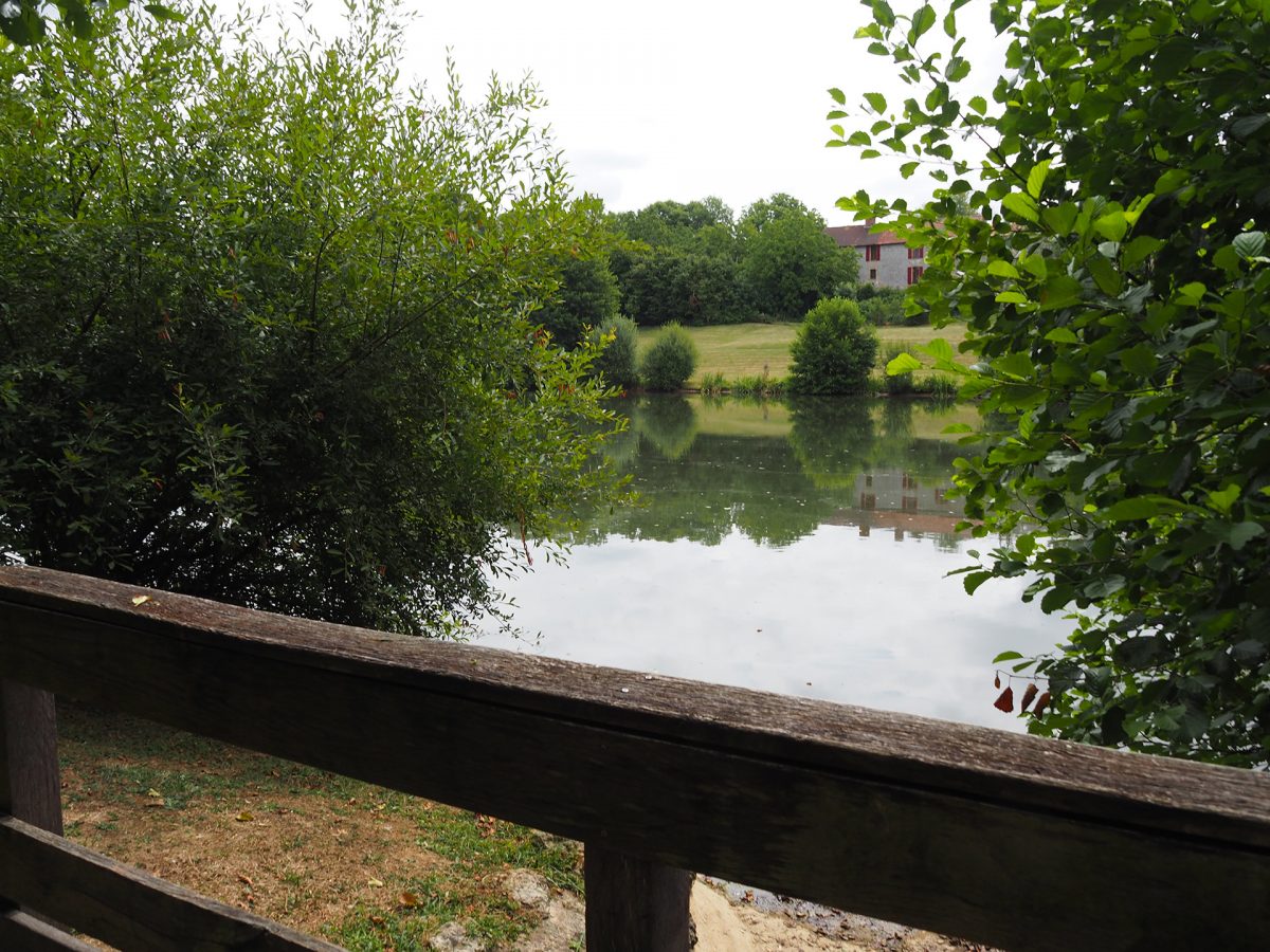 Saint-Martin-Lars-en-Sainte-Hermine (7)