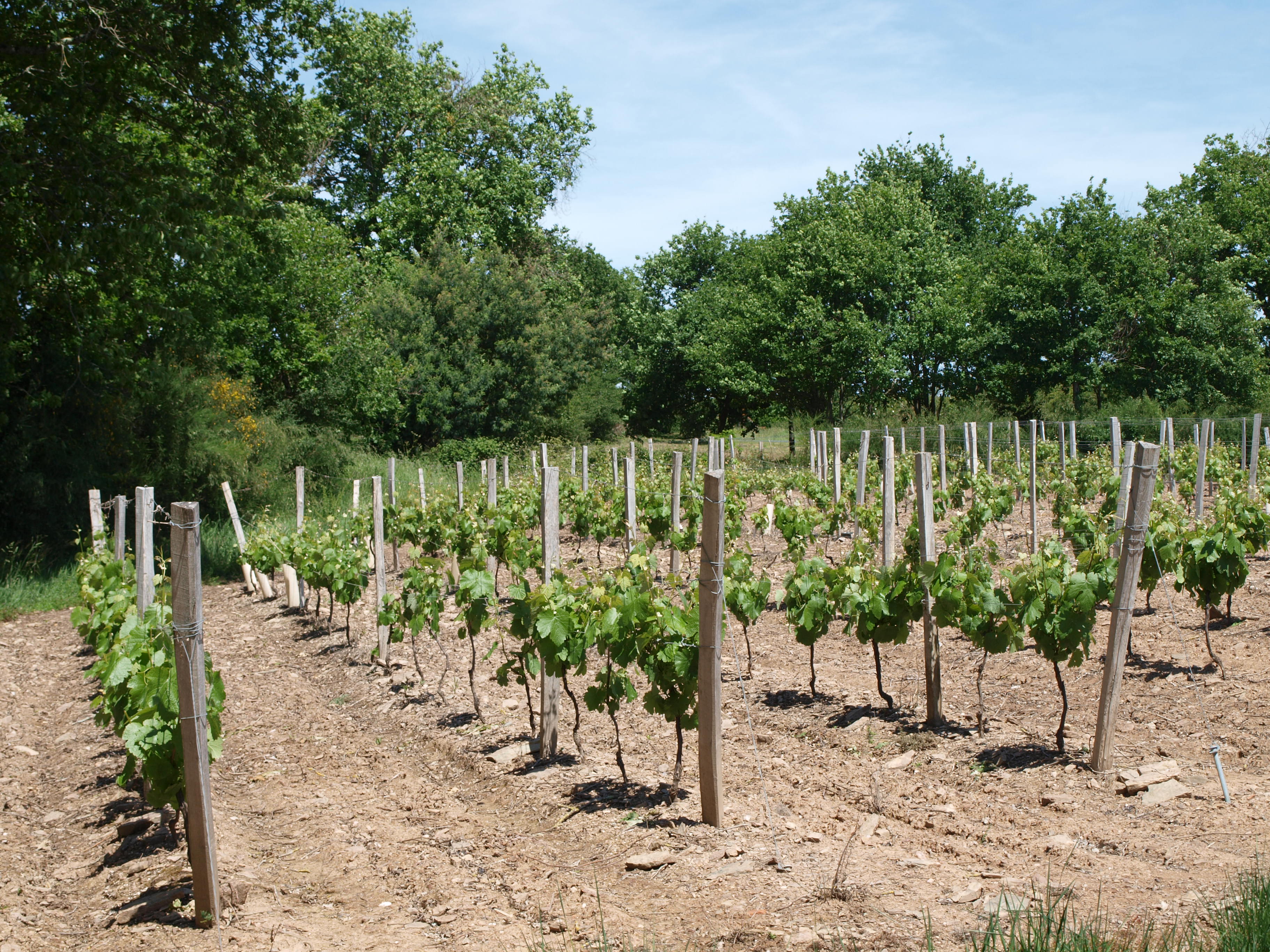 FIETSROUTE “MARAIS À LA VIGNE”