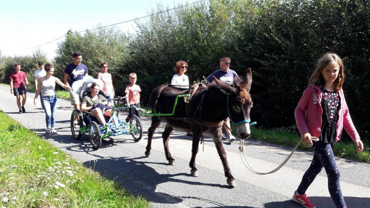 Sortie avec âne et cariâne