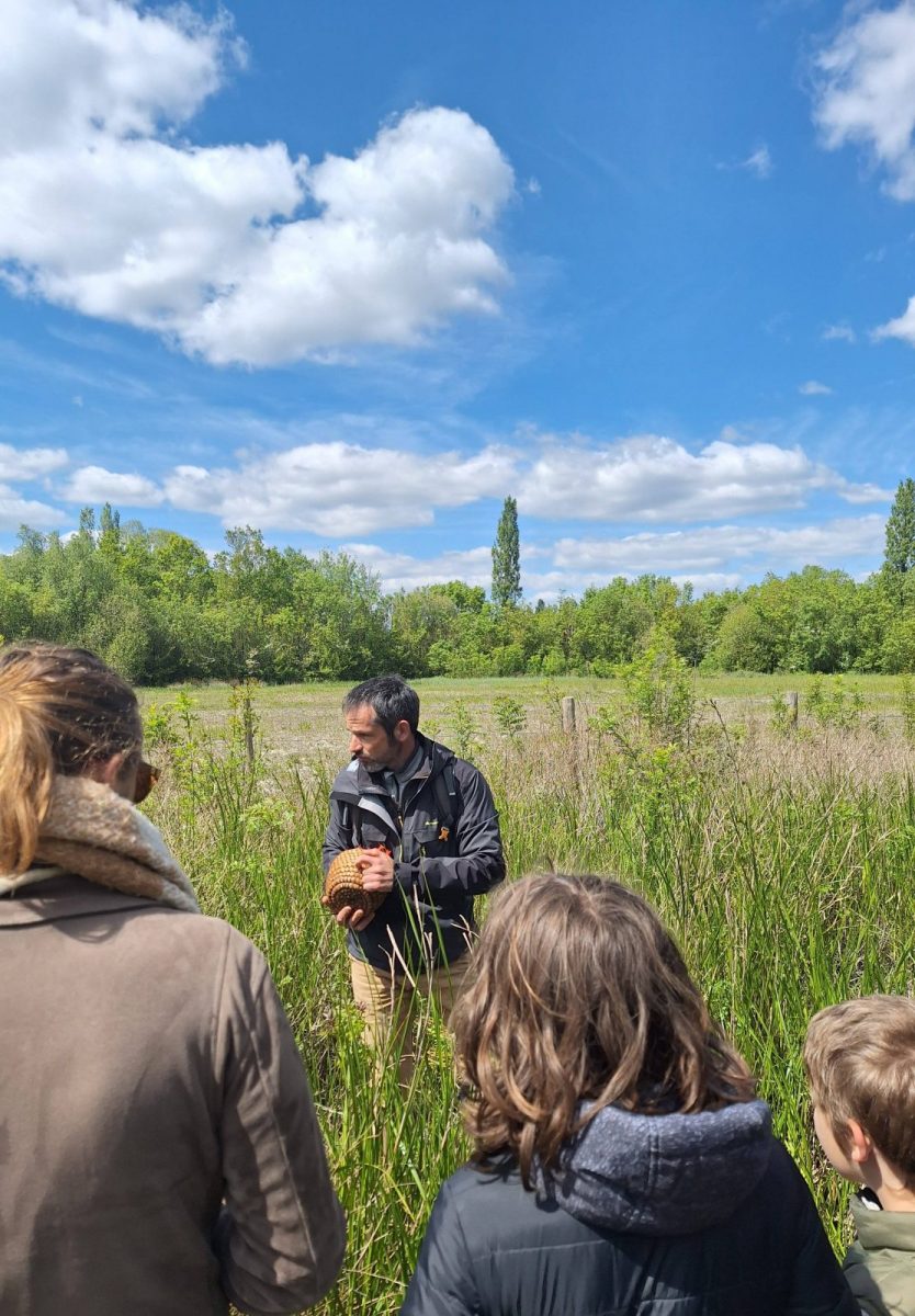 Sortie nature – Vannerie sauvage CD 85