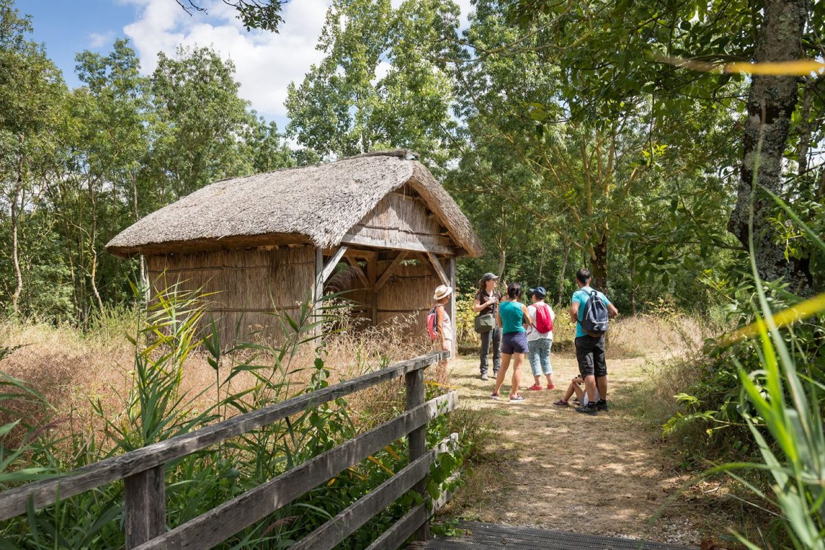 Sortie nature _ journée du patrimoine RDH  David.FUGERE_2018_reserve-Nalliers