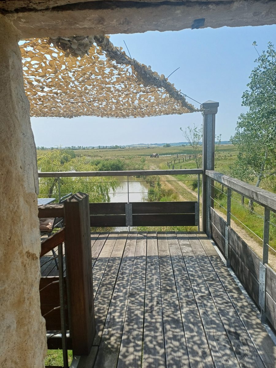 Terrasse Dixmerie Juin 2025 (2)