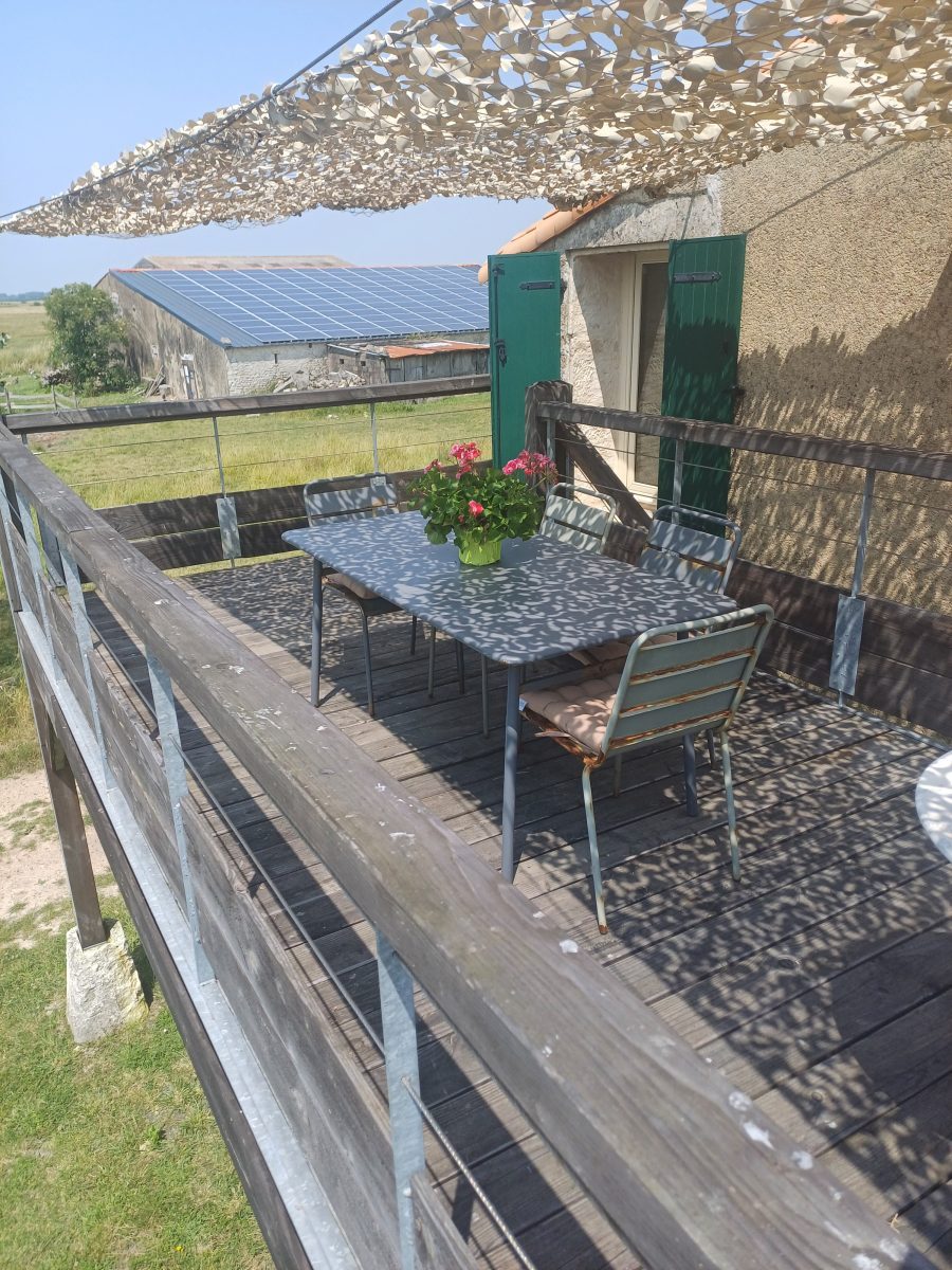 Terrasse Dixmerie Juin 2025 (3)