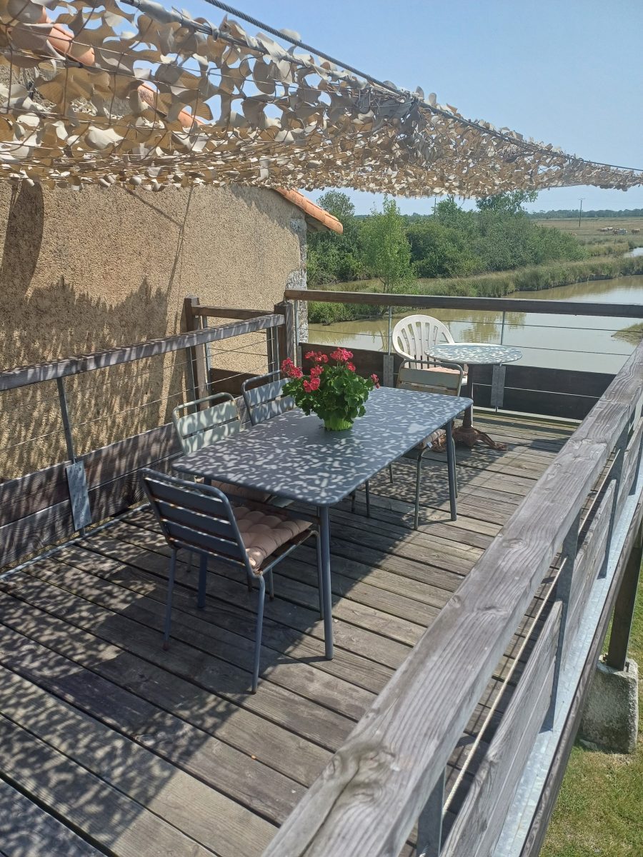 Terrasse Dixmerie Juin 2025 (4)
