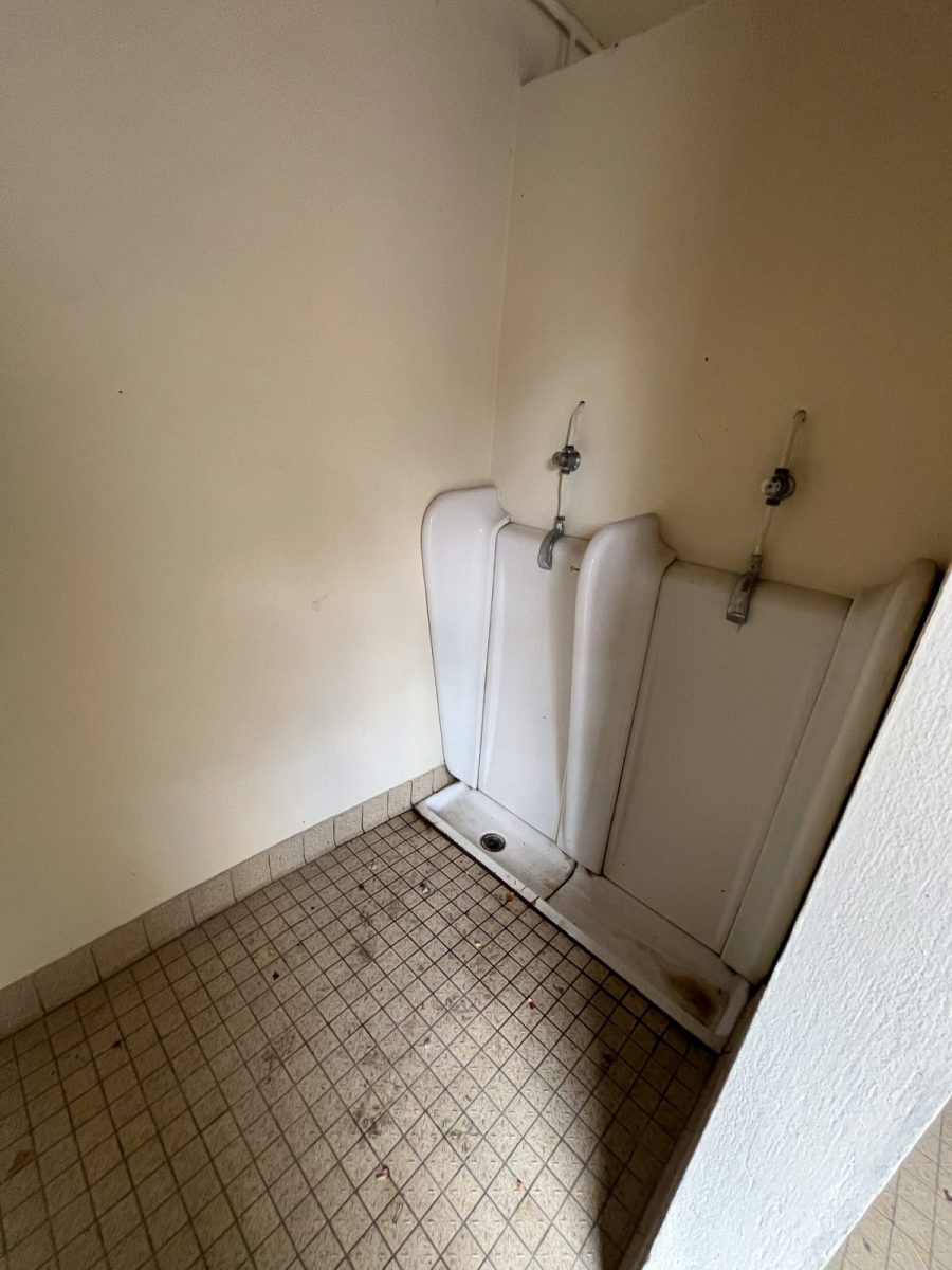 Toilettes-publiques-Mareuil-sur-Lay- boulay (5)