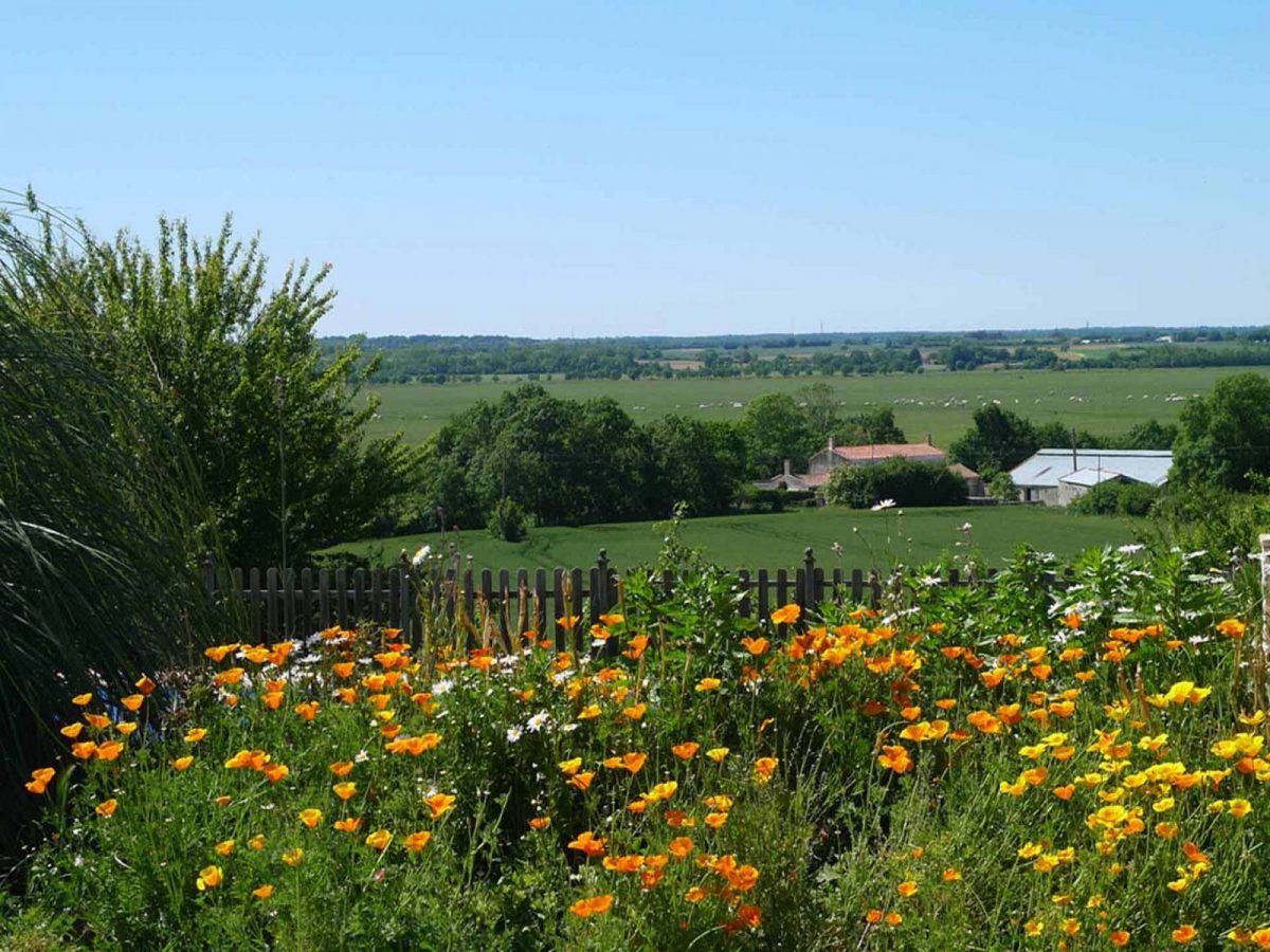 Views across the Valley