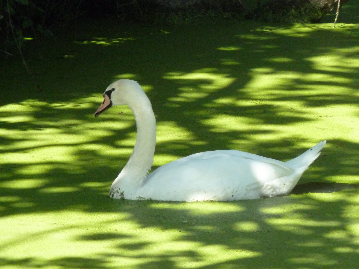 aout-2012-073