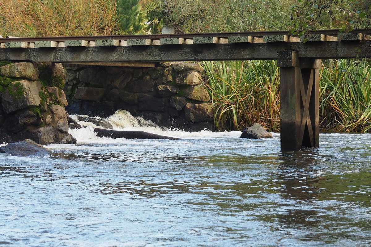 chaussée-chavagnes-Rosnay-eau-automne-KG (22)