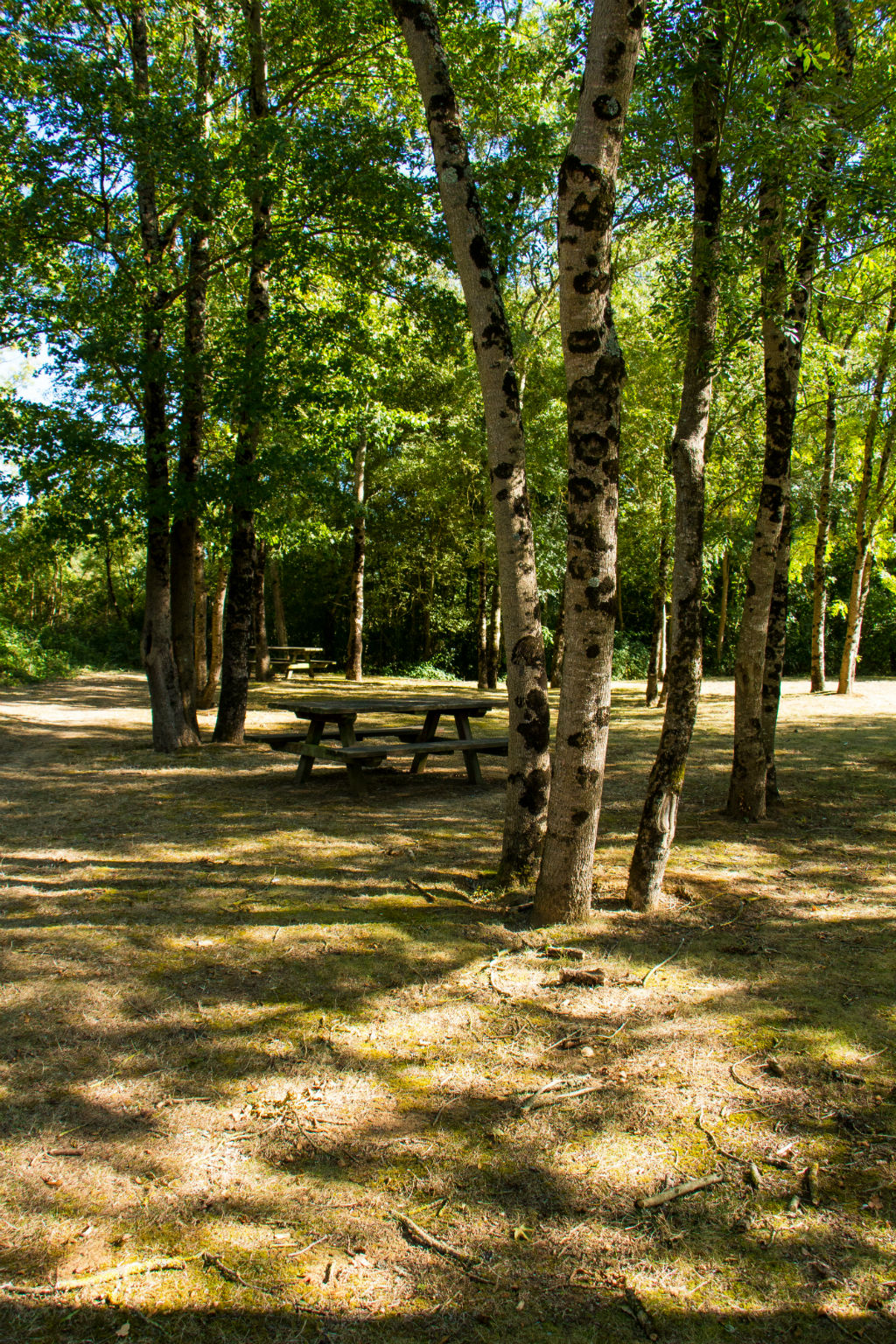 WANDELROUTE “LES CHÊNES”