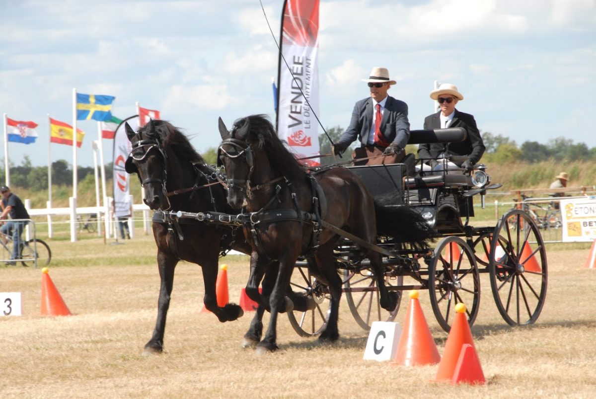 concours-national-attelage-lucon-85-fma1