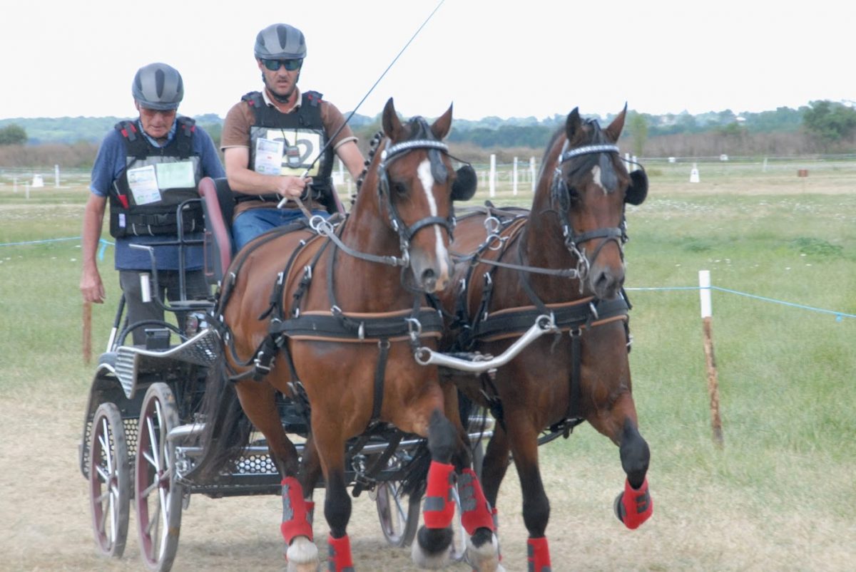 concours-national-attelage-lucon-85-fma2